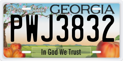 GA license plate PWJ3832