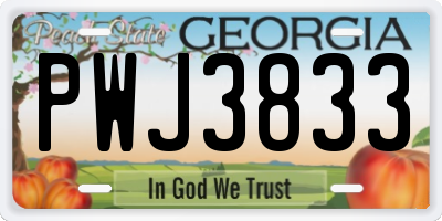 GA license plate PWJ3833