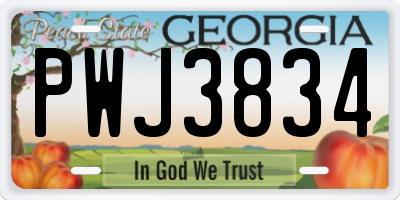 GA license plate PWJ3834