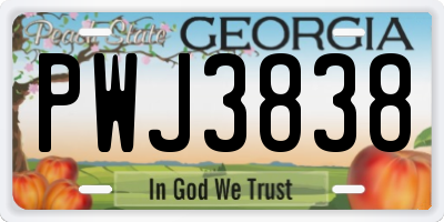 GA license plate PWJ3838