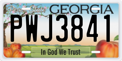GA license plate PWJ3841