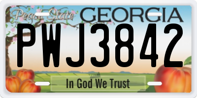 GA license plate PWJ3842