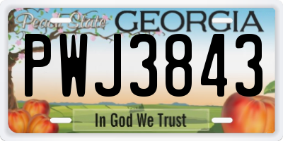 GA license plate PWJ3843