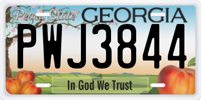 GA license plate PWJ3844