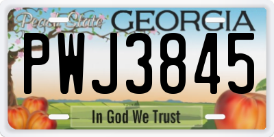 GA license plate PWJ3845