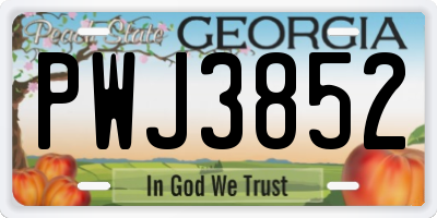 GA license plate PWJ3852