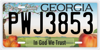 GA license plate PWJ3853