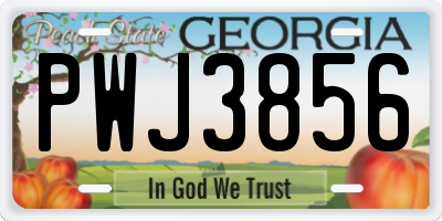 GA license plate PWJ3856