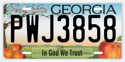 GA license plate PWJ3858