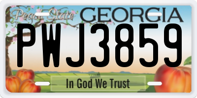 GA license plate PWJ3859