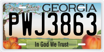 GA license plate PWJ3863