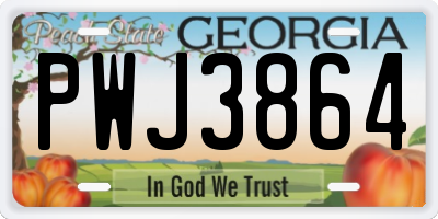 GA license plate PWJ3864