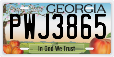 GA license plate PWJ3865