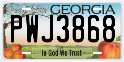 GA license plate PWJ3868