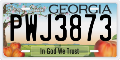 GA license plate PWJ3873