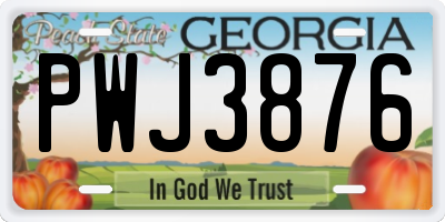 GA license plate PWJ3876
