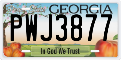 GA license plate PWJ3877