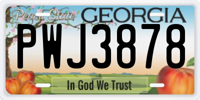 GA license plate PWJ3878
