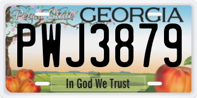 GA license plate PWJ3879