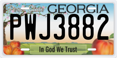 GA license plate PWJ3882