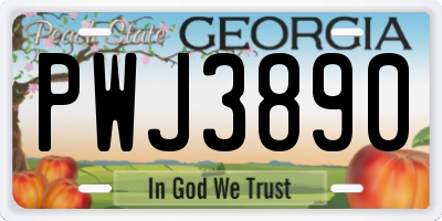 GA license plate PWJ3890