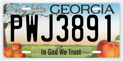 GA license plate PWJ3891