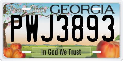 GA license plate PWJ3893