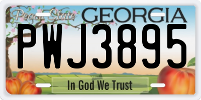 GA license plate PWJ3895