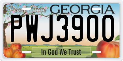 GA license plate PWJ3900