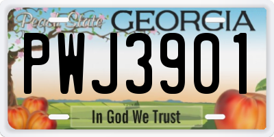 GA license plate PWJ3901