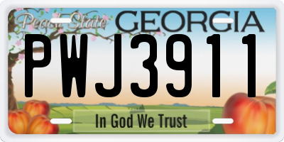 GA license plate PWJ3911