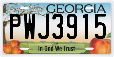 GA license plate PWJ3915