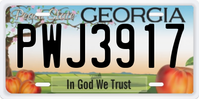 GA license plate PWJ3917
