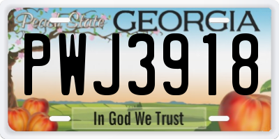 GA license plate PWJ3918