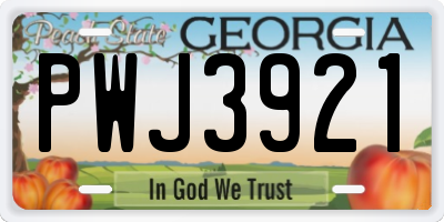 GA license plate PWJ3921