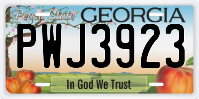 GA license plate PWJ3923
