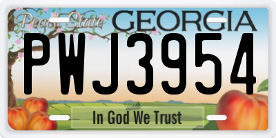 GA license plate PWJ3954