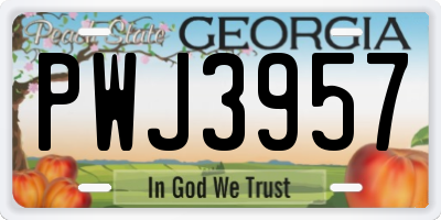 GA license plate PWJ3957