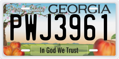 GA license plate PWJ3961