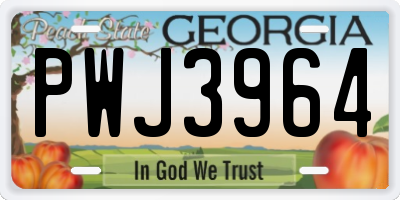 GA license plate PWJ3964