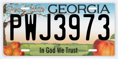 GA license plate PWJ3973