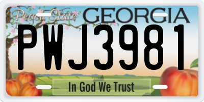 GA license plate PWJ3981