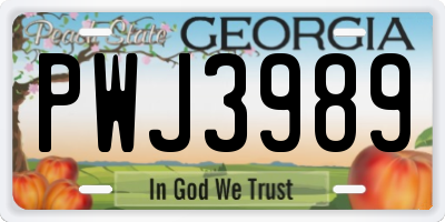 GA license plate PWJ3989