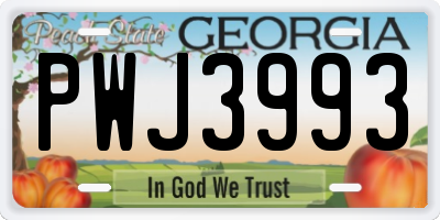 GA license plate PWJ3993