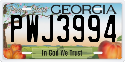 GA license plate PWJ3994