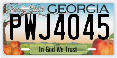 GA license plate PWJ4045
