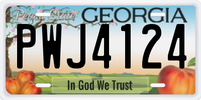 GA license plate PWJ4124