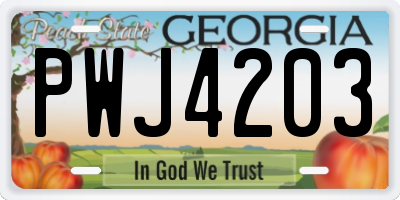 GA license plate PWJ4203