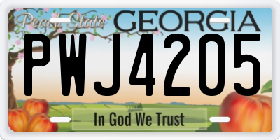 GA license plate PWJ4205