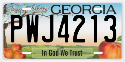 GA license plate PWJ4213